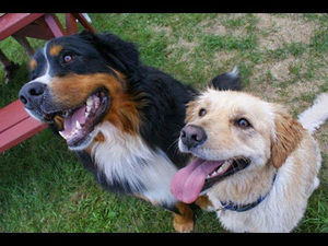 Meet your Posher, Mylene